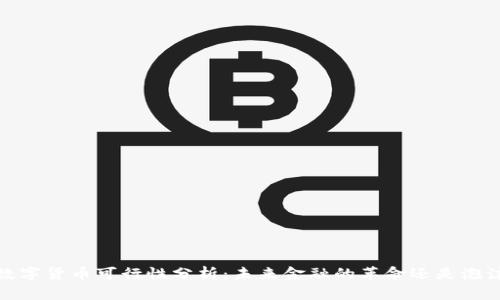 数字货币可行性分析：未来金融的革命还是泡沫