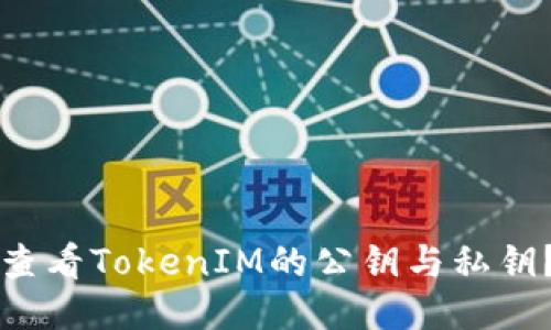 如何安全查看TokenIM的公钥与私钥？详尽指南
