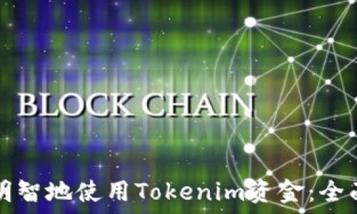   
如何明智地使用Tokenim资金：全面指南