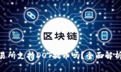 Tokenim交易所支持DOT提币吗？全面解析与用户指南