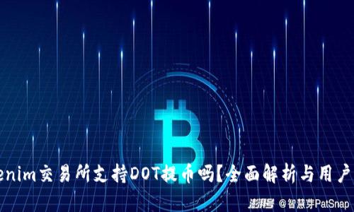 Tokenim交易所支持DOT提币吗？全面解析与用户指南