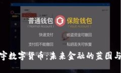 : 寰宇数字货币：未来金融的蓝图与挑战
