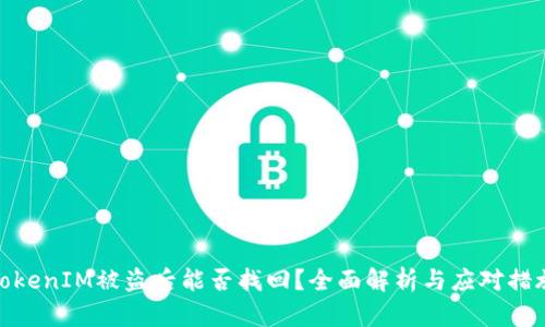 TokenIM被盗后能否找回？全面解析与应对措施