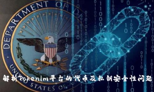 解析Tokenim平台的代币及私钥安全性问题