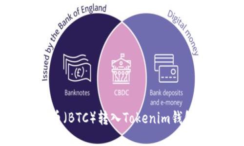 如何将比特币（BTC）转入Tokenim钱包的详细指南