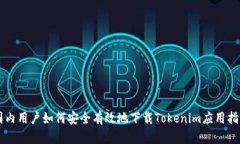 国内用户如何安全有效地