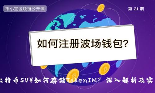 BSV（比特币SV）如何存储TokenIM? 深入解析及实用指南