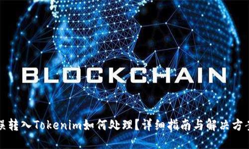 误转入Tokenim如何处理？详细指南与解决方案