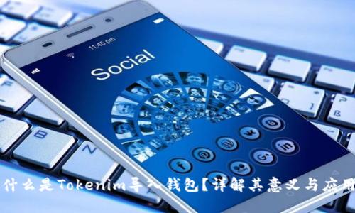 什么是Tokenim导入钱包？详解其意义与应用