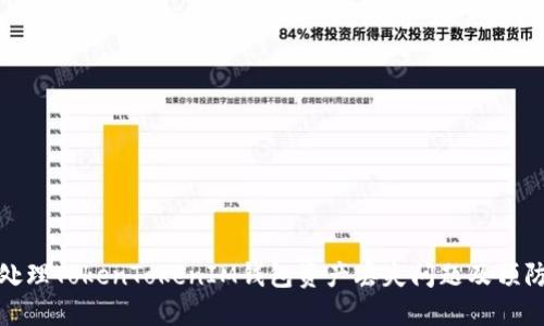 如何处理TokenTokenIM钱包资产丢失问题及预防措施