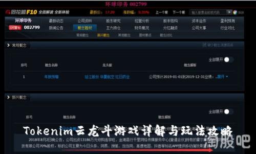 Tokenim云龙斗游戏详解与玩法攻略