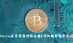 使用Tokenim是否需要网络连