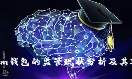 Tokentokenim钱包的监管现状分析及其对用户的影响