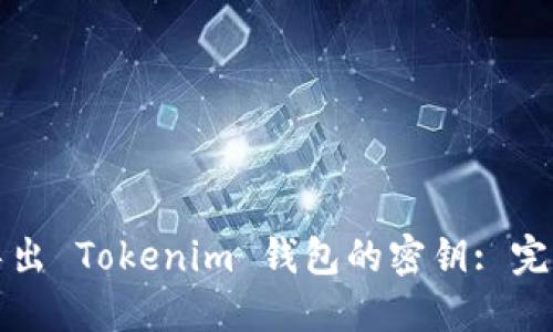 如何导出 Tokenim 钱包的密钥: 完整指南