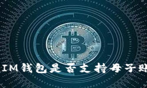 TokenTokenIM钱包是否支持母子账户功能详解