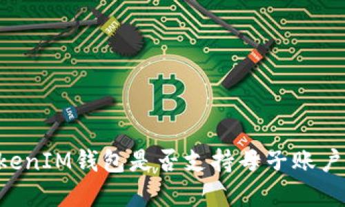 TokenTokenIM钱包是否支持母子账户功能详解