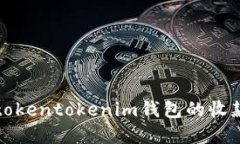 如何解决tokentokenim钱包的