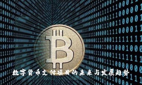数字货币支付项目的未来与发展趋势