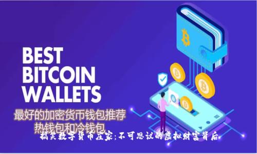 搞笑数字货币庄家：不可思议的虚拟财富背后