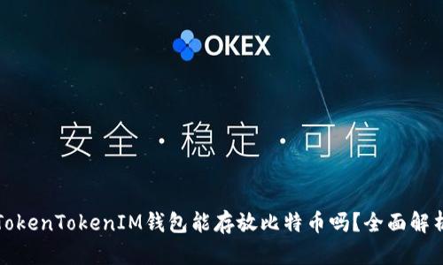 TokenTokenIM钱包能存放比特币吗？全面解析
