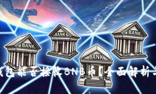 Tokenim钱包能否接收BNB币？全面解析与使用指南