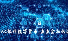 深入探讨PAC银行数字货币