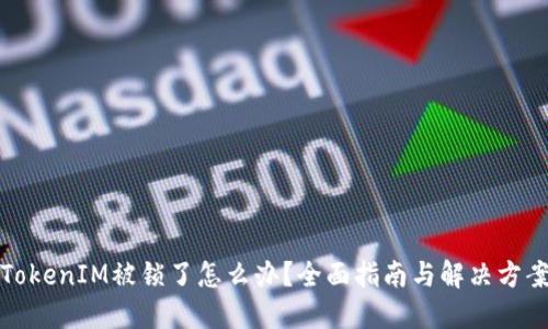 TokenIM被锁了怎么办？全面指南与解决方案