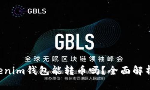 假Tokentokenim钱包能转币吗？全面解析和使用指南