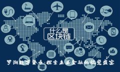 罗湖数字货币：探索未来