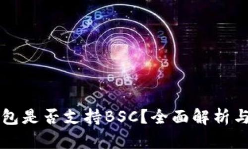 以太坊钱包是否支持BSC？全面解析与使用指南