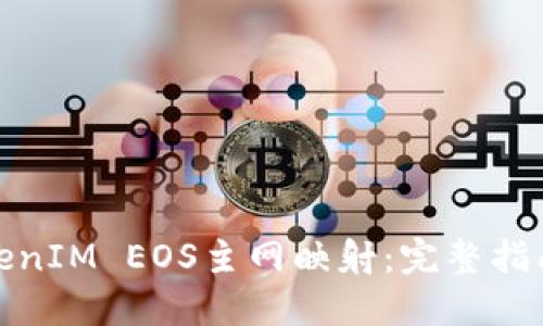 如何进行TokenIM EOS主网映射：完整指南与操作步骤