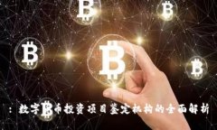 : 数字货币投资项目鉴定机