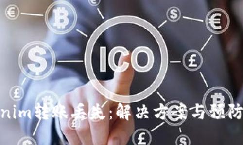 Tokenim转账丢失：解决方案与预防措施