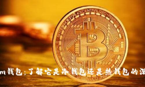 Tokenim钱包：了解它是冷钱包还是热钱包的深度解析