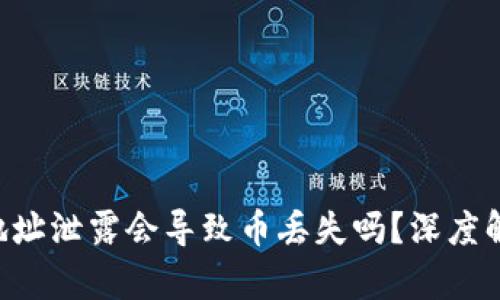Tokenim钱包地址泄露会导致币丢失吗？深度解析与防范措施
