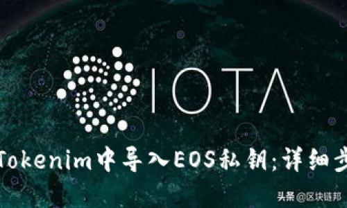如何在Tokenim中导入EOS私钥：详细步骤指南