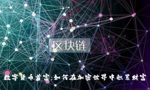 数字货币首富：如何在加密世界中积累财富