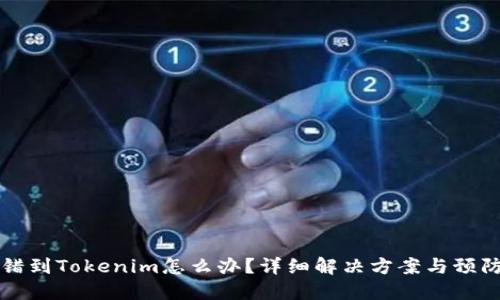币转错到Tokenim怎么办？详细解决方案与预防措施