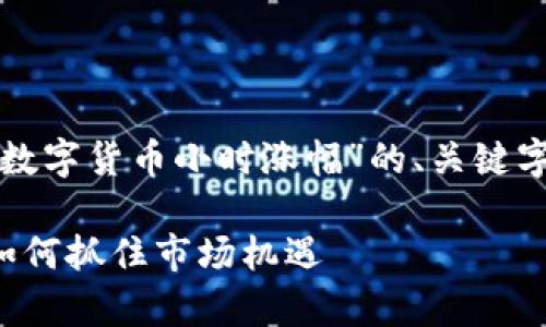 由于字数要求较长，以下是针对“数字货币小时涨幅”的、关键字、详细介绍框架及相关问题示例。

数字货币小时涨幅分析：投资者如何抓住市场机遇