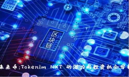 未来币：Tokenim NXT 的潜力与投资机会分析