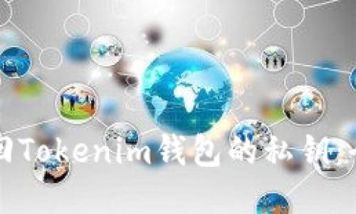 如何找回Tokenim钱包的私钥：全面指南