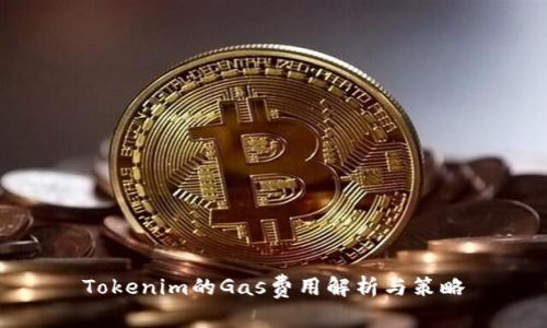 Tokenim的Gas费用解析与策略