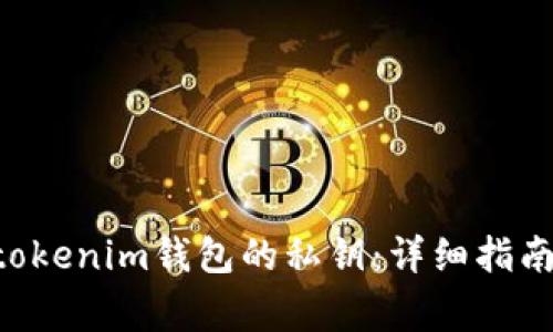 如何找回Tokentokenim钱包的私钥：详细指南与常见问题解答