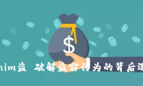 深入探讨Tokenim盗 破解盗窃行为的背后逻辑与防范措施