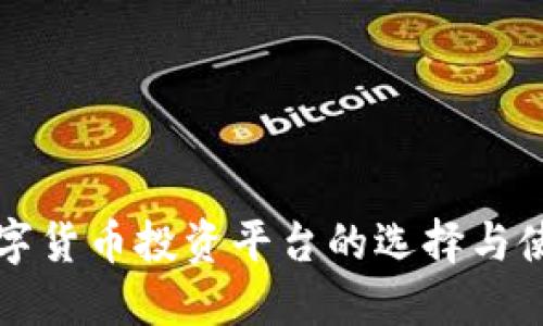 大型数字货币投资平台的选择与使用指南