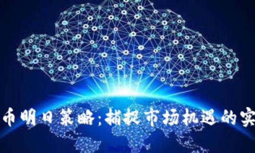 数字货币明日策略：捕捉市场机遇的实用指南