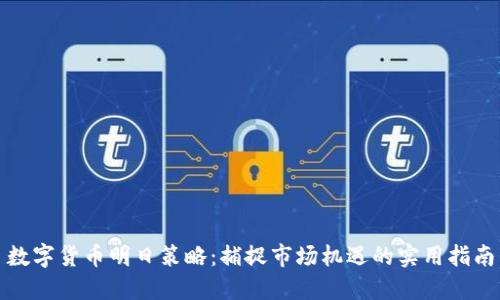 数字货币明日策略：捕捉市场机遇的实用指南
