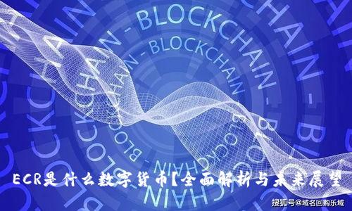 ECR是什么数字货币？全面解析与未来展望