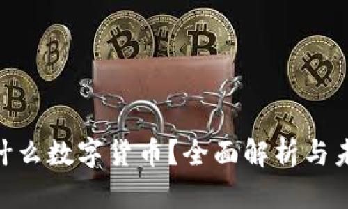 ECR是什么数字货币？全面解析与未来展望