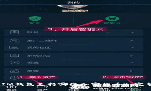 TokenTokenIM钱包支持哪些加密货币? 完整指南与分析